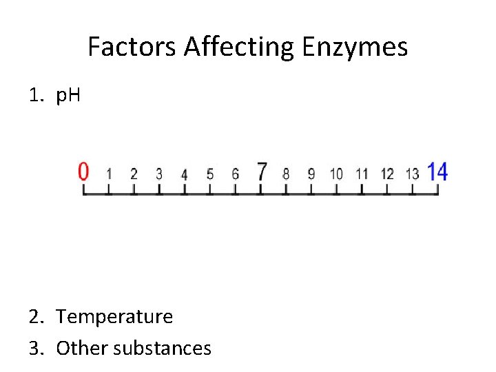 Factors Affecting Enzymes 1. p. H 2. Temperature 3. Other substances 