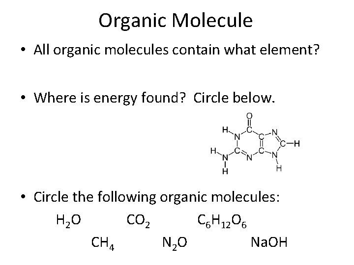 Organic Molecule • All organic molecules contain what element? • Where is energy found?