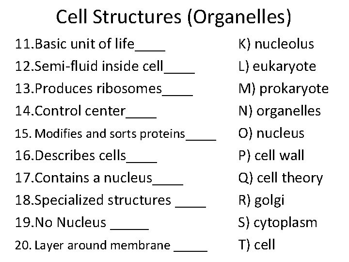 Cell Structures (Organelles) 11. Basic unit of life____ 12. Semi-fluid inside cell____ 13. Produces