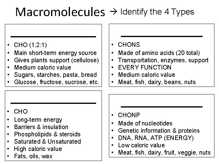 Macromolecules Identify the 4 Types _____________________ • • • CHO (1: 2: 1) Main