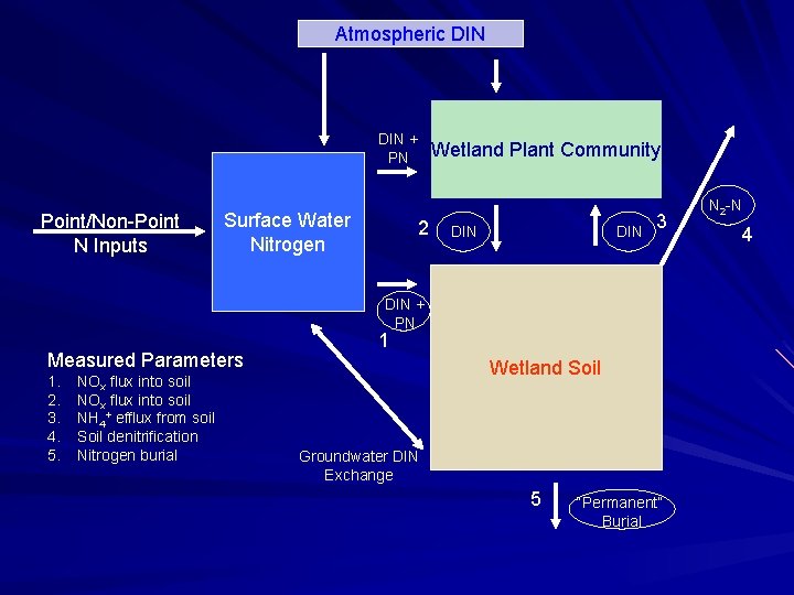 Atmospheric DIN + PN Point/Non-Point N Inputs Surface Water Nitrogen 2 Wetland Plant Community