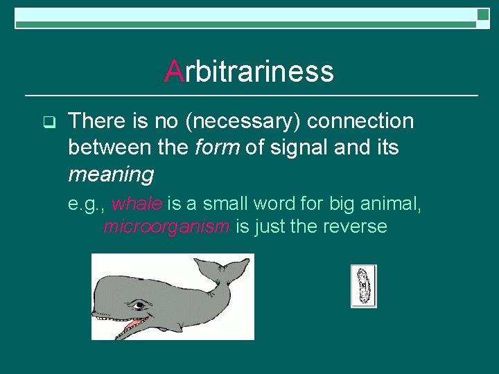 Arbitrariness q There is no (necessary) connection between the form of signal and its