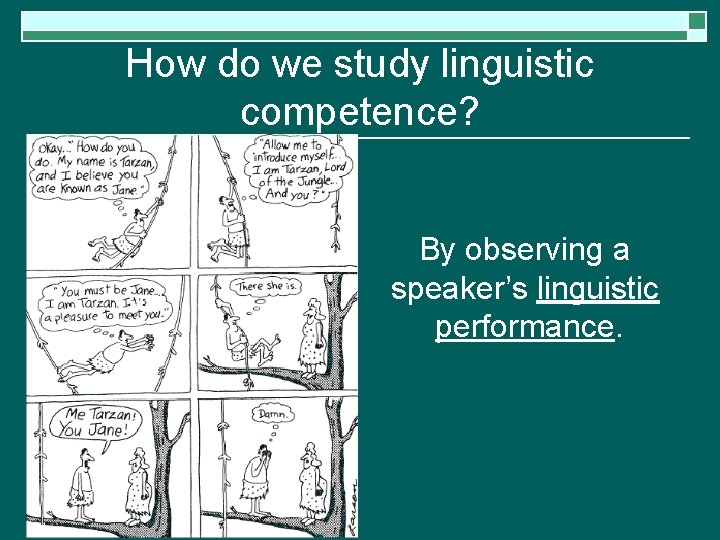 How do we study linguistic competence? By observing a speaker’s linguistic performance. 