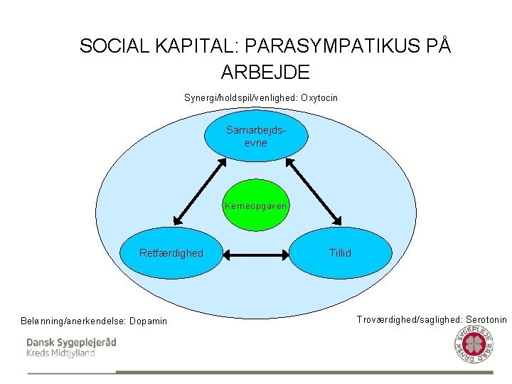 SOCIAL KAPITAL: PARASYMPATIKUS PÅ ARBEJDE Synergi/holdspil/venlighed: Oxytocin Samarbejdsevne Kerneopgaven Retfærdighed Belønning/anerkendelse: Dopamin Tillid Troværdighed/saglighed: