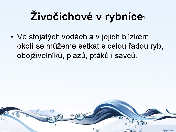 Živočichové v rybníce 1 • Ve stojatých vodách a v jejich blízkém okolí se