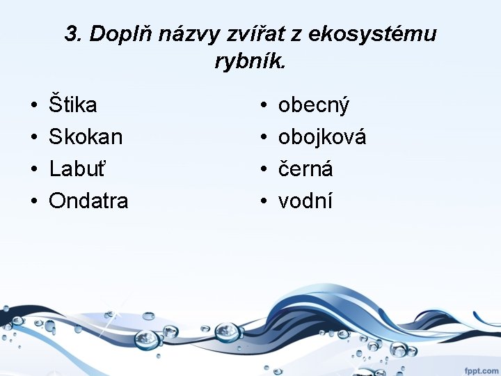 3. Doplň názvy zvířat z ekosystému rybník. • • Štika Skokan Labuť Ondatra •