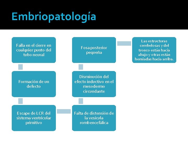 Embriopatología Falla en el cierre en cualquier punto del tubo neural Fosa posterior pequeña