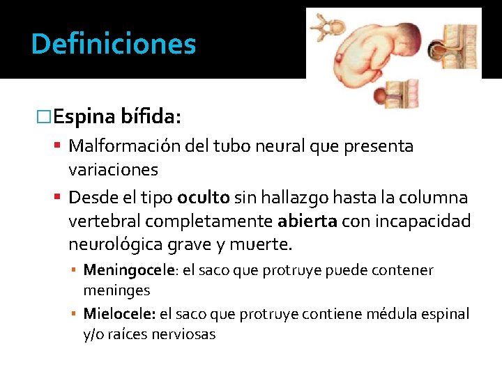 Definiciones �Espina bífida: Malformación del tubo neural que presenta variaciones Desde el tipo oculto