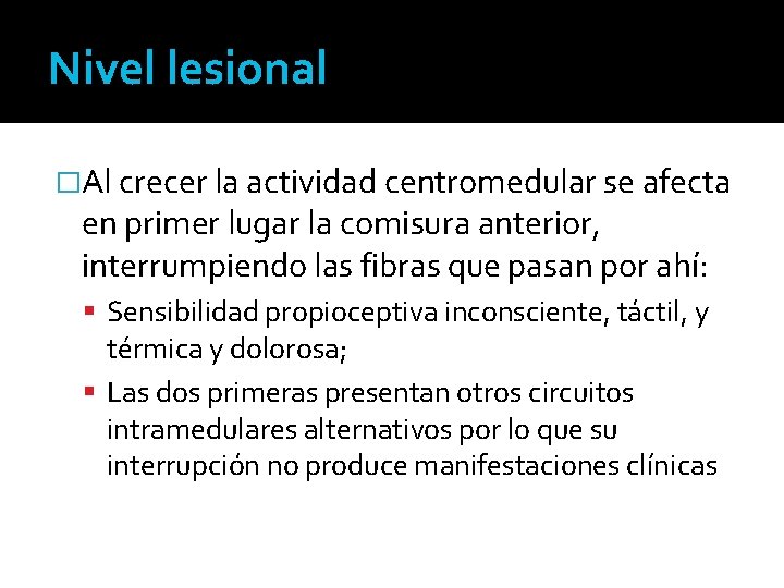 Nivel lesional �Al crecer la actividad centromedular se afecta en primer lugar la comisura