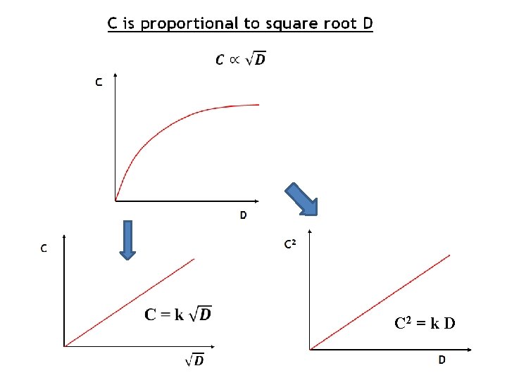 C 2 = k D 