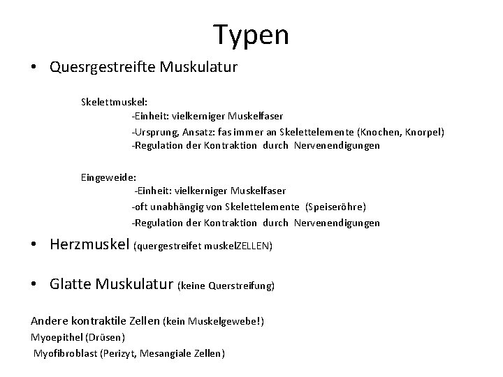 Typen • Quesrgestreifte Muskulatur Skelettmuskel: -Einheit: vielkerniger Muskelfaser -Ursprung, Ansatz: fas immer an Skelettelemente