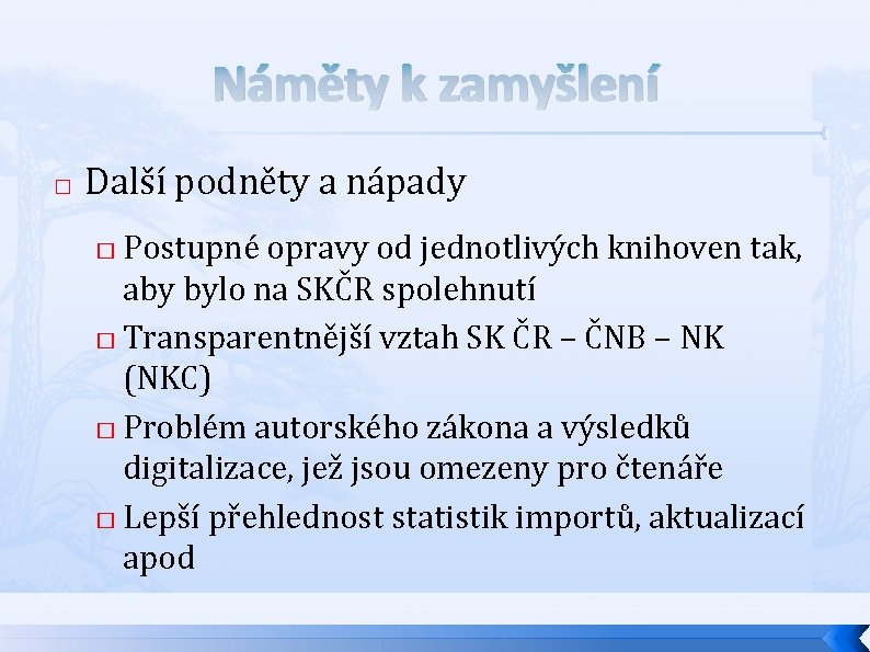 Náměty k zamyšlení � Další podněty a nápady Postupné opravy od jednotlivých knihoven tak,