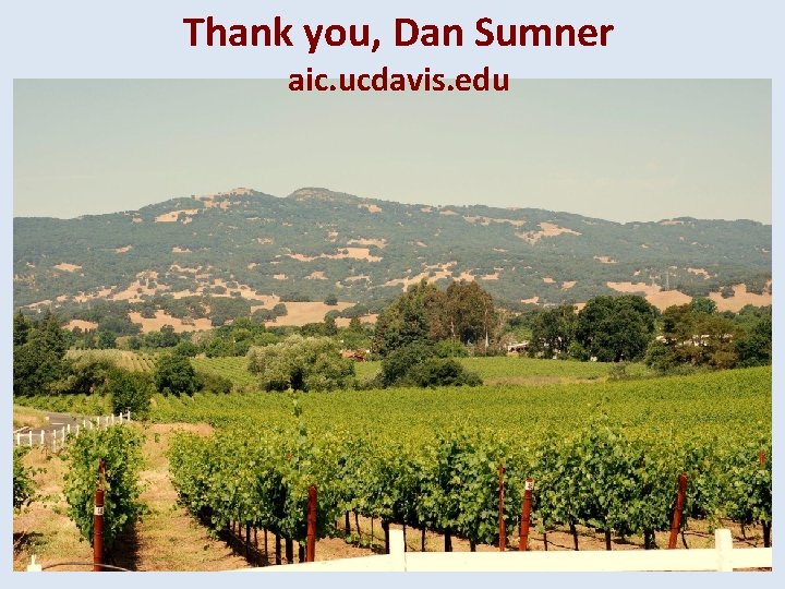 Thank you, Dan Sumner aic. ucdavis. edu 