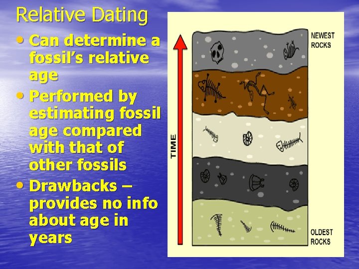 Relative Dating • Can determine a fossil’s relative age • Performed by estimating fossil