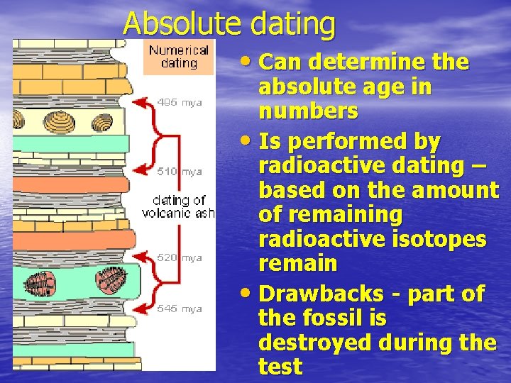 Absolute dating • Can determine the absolute age in numbers • Is performed by