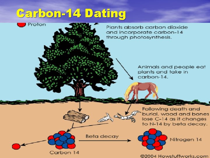 Carbon-14 Dating 