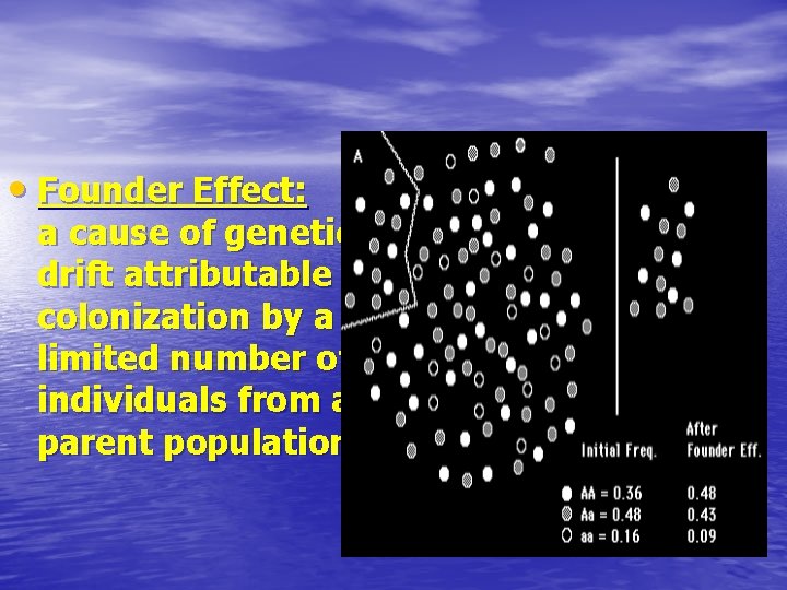  • Founder Effect: a cause of genetic drift attributable to colonization by a