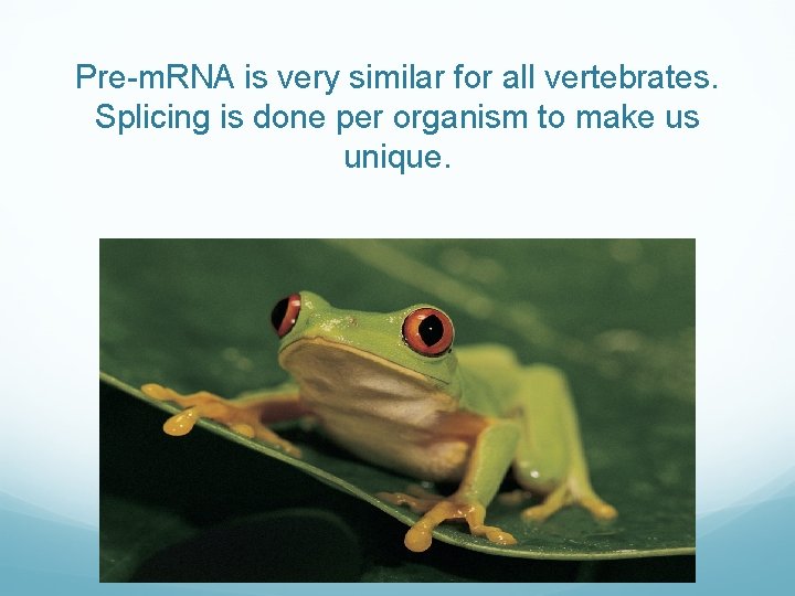 Pre-m. RNA is very similar for all vertebrates. Splicing is done per organism to