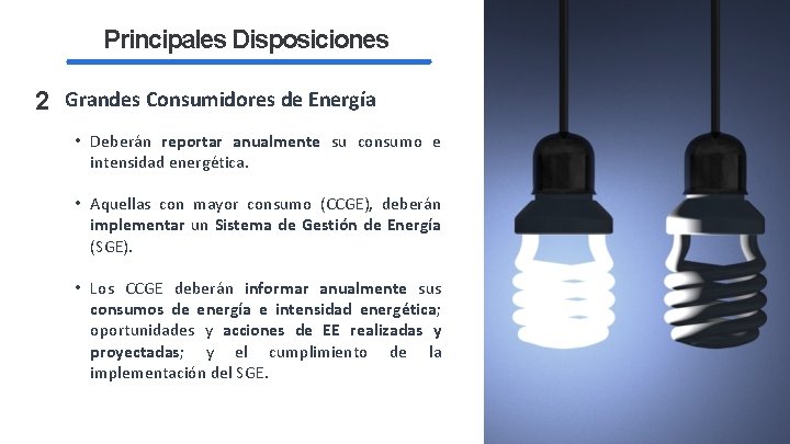 Principales Disposiciones 2 Grandes Consumidores de Energía • Deberán reportar anualmente su consumo e