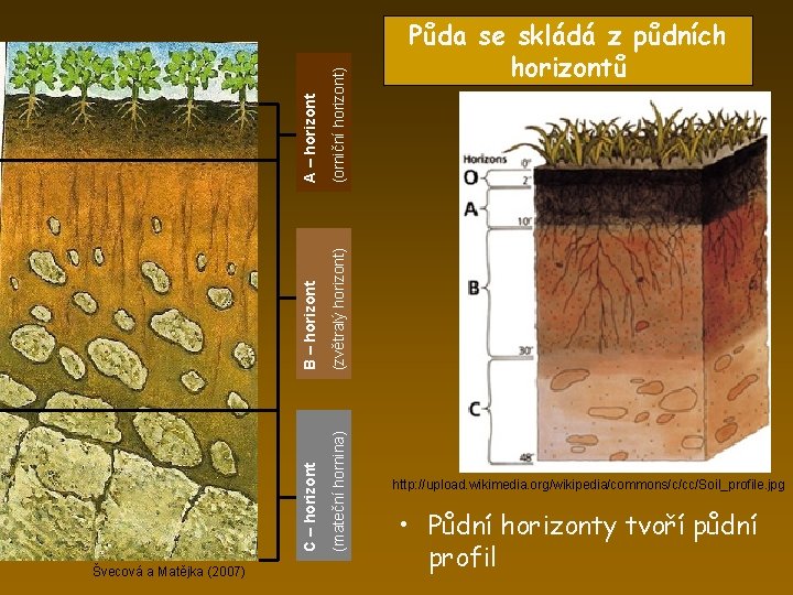 (zvětralý horizont) (mateční hornina) (orniční horizont) B – horizont C – horizont A –