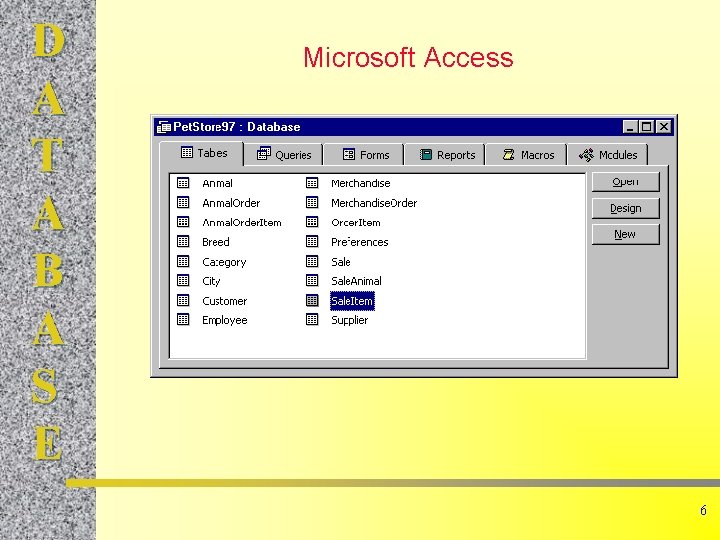 D A T A B A S E Microsoft Access 6 