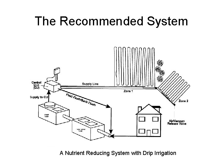 The Recommended System A Nutrient Reducing System with Drip Irrigation 