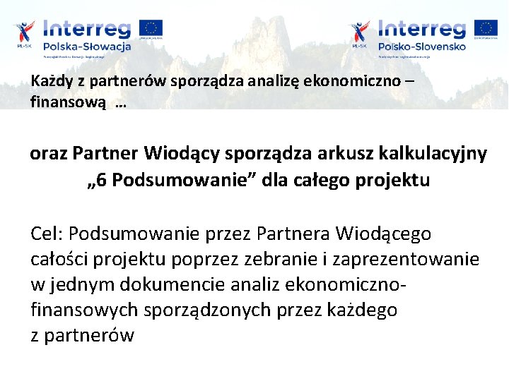 Każdy z partnerów sporządza analizę ekonomiczno – finansową … oraz Partner Wiodący sporządza arkusz