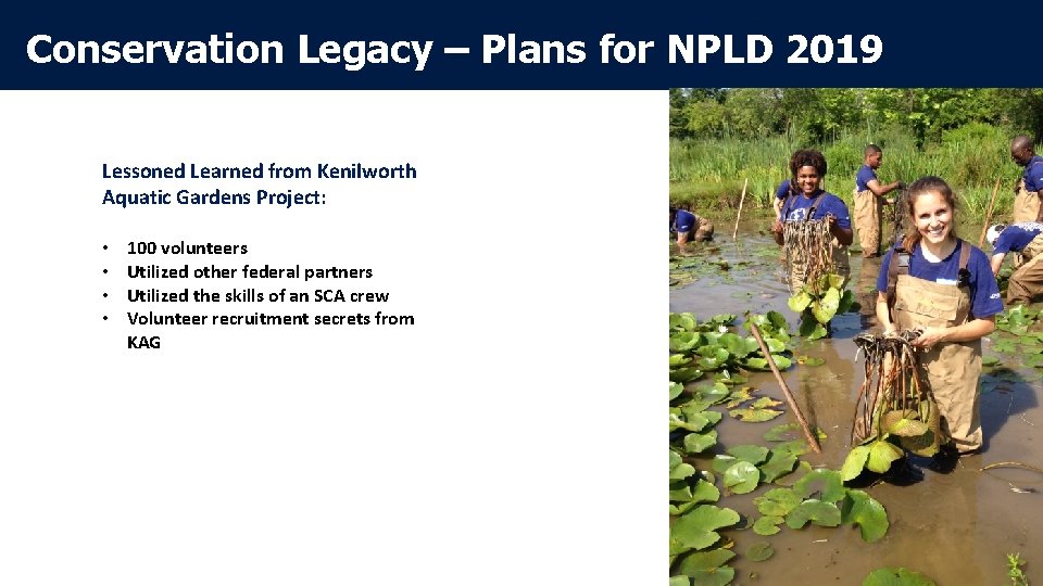Conservation Legacy – Plans for NPLD 2019 Lessoned Learned from Kenilworth Aquatic Gardens Project: