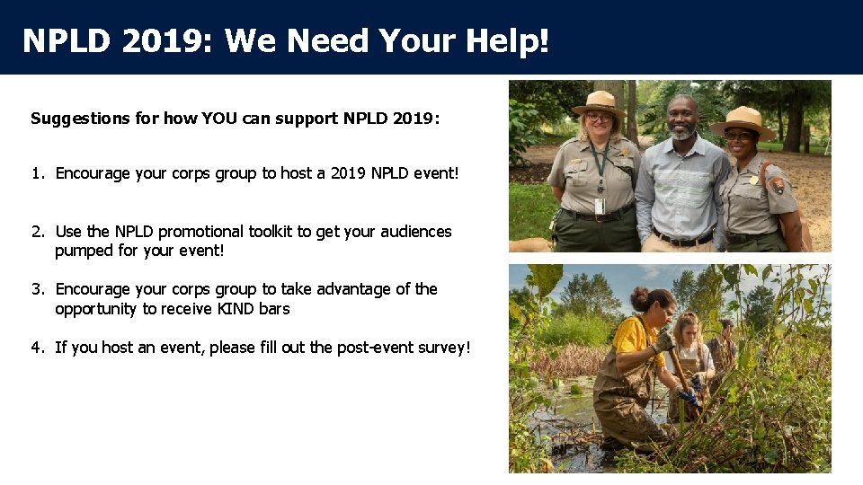 NPLD 2019: We Need Your Help! Suggestions for how YOU can support NPLD 2019: