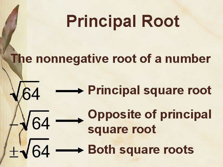 Principal Root The nonnegative root of a number Principal square root Opposite of principal