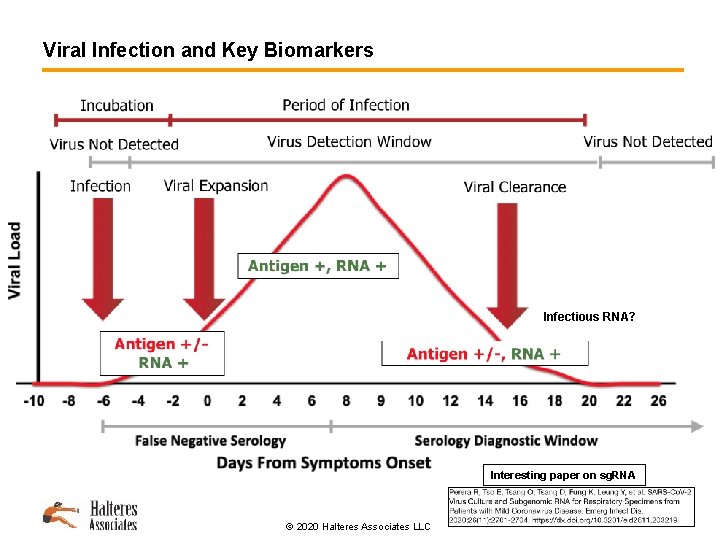 Viral Infection and Key Biomarkers Infectious RNA? Interesting paper on sg. RNA © 2020