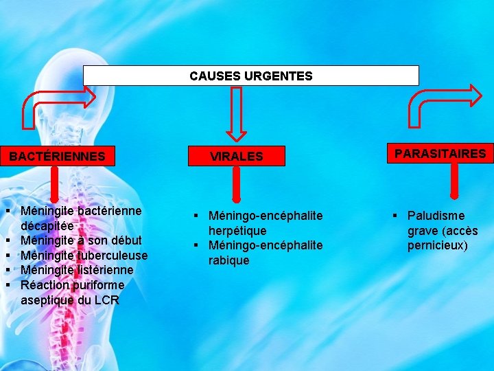 CAUSES URGENTES BACTÉRIENNES § Méningite bactérienne décapitée § Méningite à son début § Méningite