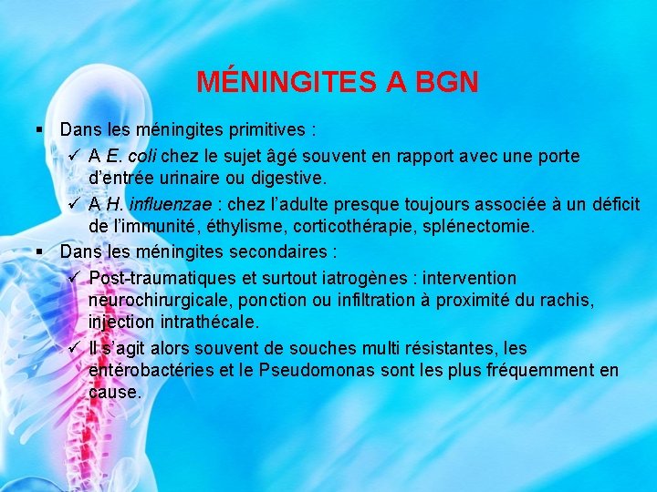 MÉNINGITES A BGN § Dans les méningites primitives : ü A E. coli chez