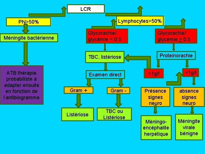 LCR Lymphocytes>50% PN>50% Glycorachie/ glycémie < 0. 5 Méningite bactérienne Glycorachie/ glycémie > 0.