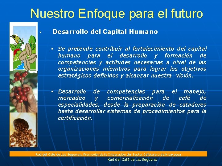 Nuestro Enfoque para el futuro § Desarrollo del Capital Humano § Se pretende contribuir