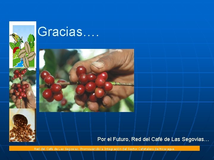 Gracias…. Por el Futuro, Red del Café de Las Segovias… Red del Café de