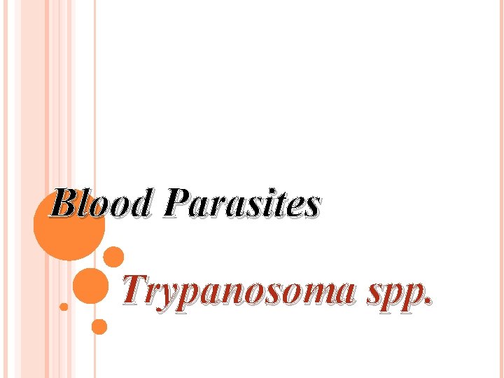 Blood Parasites Trypanosoma spp. 