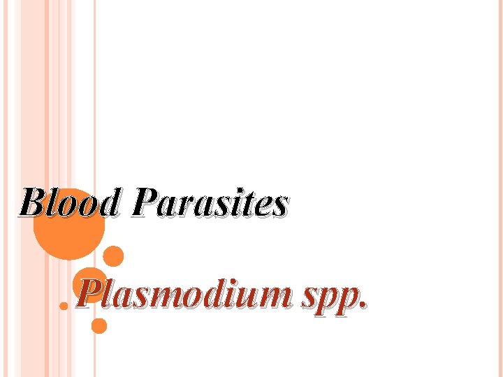 Blood Parasites Plasmodium spp. 