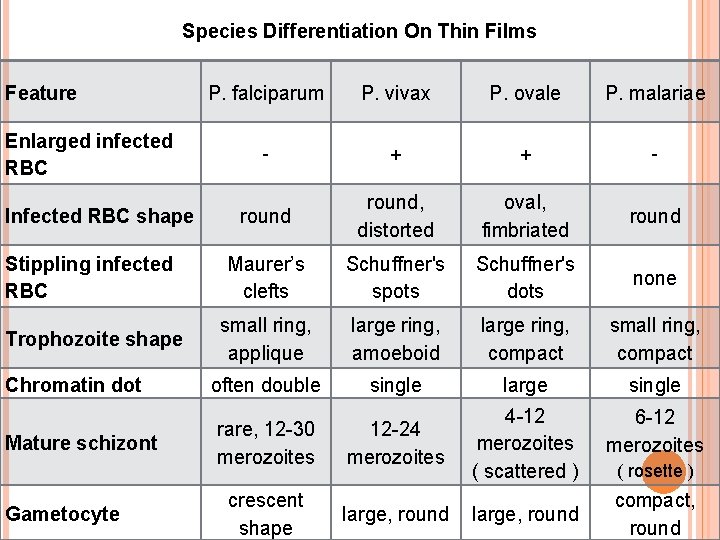 Species Differentiation On Thin Films Feature P. falciparum P. vivax P. ovale P. malariae
