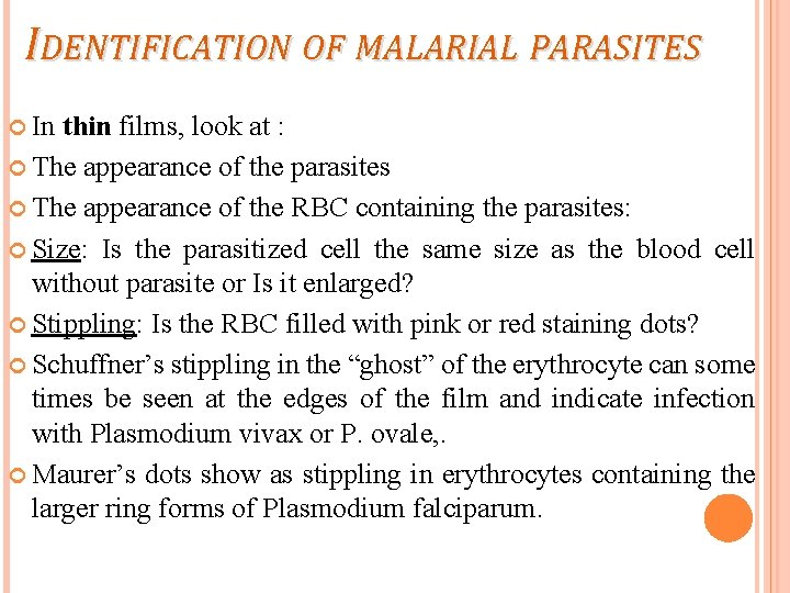 IDENTIFICATION OF MALARIAL PARASITES In thin films, look at : The appearance of the