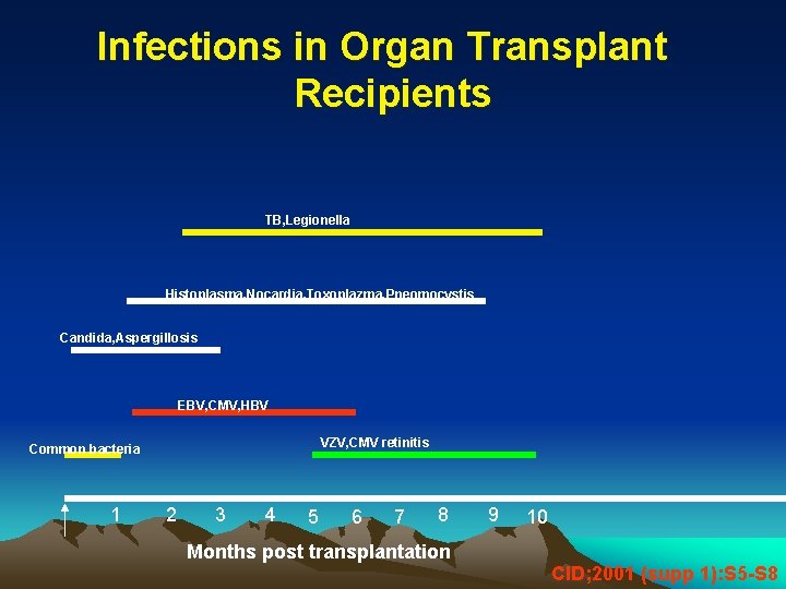 Infections in Organ Transplant Recipients TB, Legionella Histoplasma, Nocardia, Toxoplazma, Pneomocystis Candida, Aspergillosis EBV,