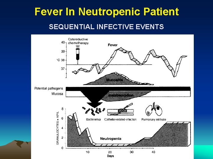 Fever In Neutropenic Patient SEQUENTIAL INFECTIVE EVENTS 