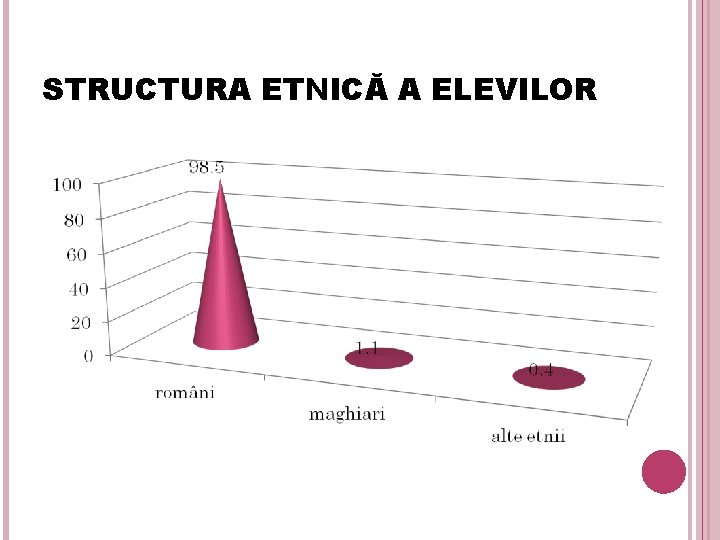 STRUCTURA ETNICĂ A ELEVILOR 10 