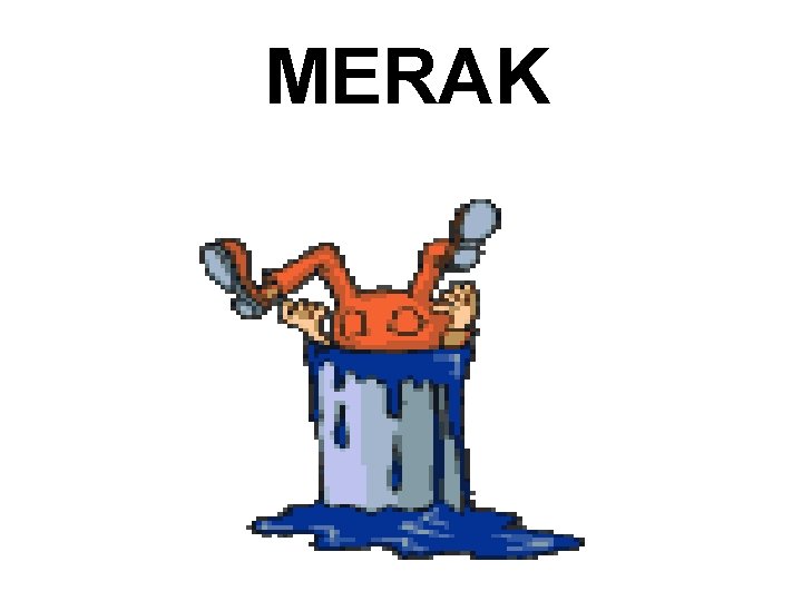 MERAK 