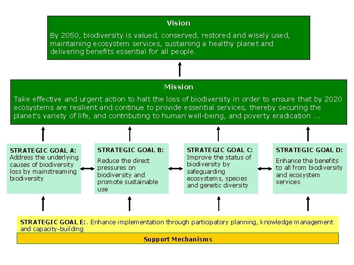Vision By 2050, biodiversity is valued, conserved, restored and wisely used, maintaining ecosystem services,
