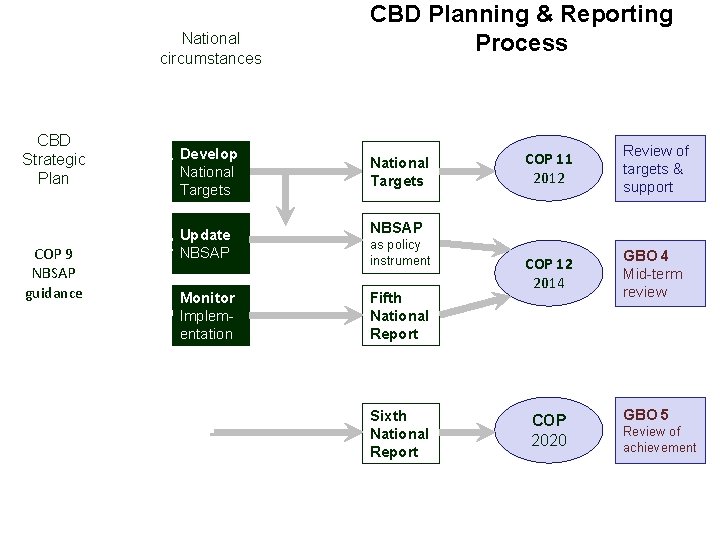 National circumstances CBD Strategic Plan COP 9 NBSAP guidance Develop National Targets CBD Planning