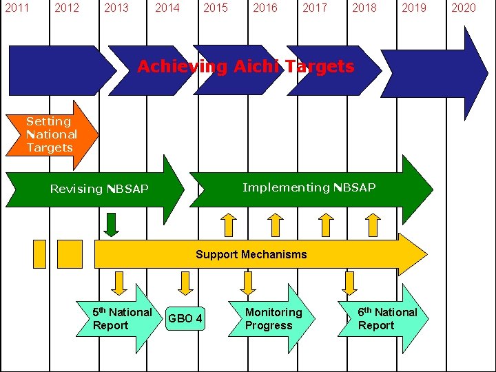 2011 2012 2013 2014 2015 2016 2017 2018 2019 Achieving Aichi Targets Setting National