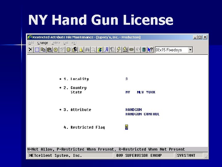 NY Hand Gun License 