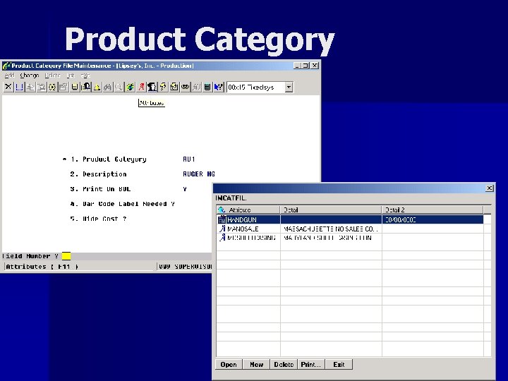 Product Category Attribute 