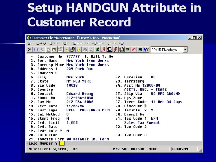 Setup HANDGUN Attribute in Customer Record 